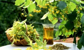 Чай с липовым цветом
