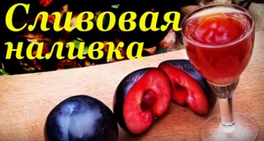 Сливянка, наливка из слив, домашний рецепт.