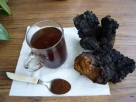 Чай из чаги
